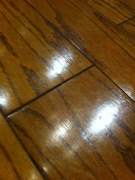 Shiny wood | Wood, Hardwood, Hardwood floors