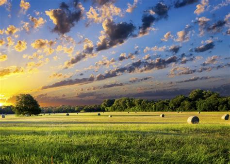 How to buy land in Texas | Rethink Rural Blog