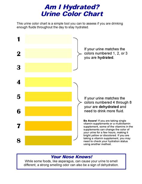 Hydration Chart - Urine Color Chart - XL Vita