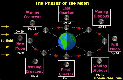 The Storytelling Sub...StoryTeacher: Tuesday Book Look ......The Moon ...