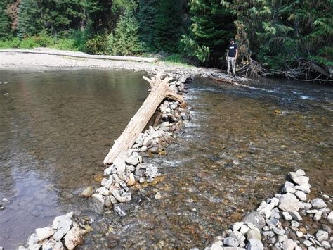 Fish biologists ask recreators not to build rock dams in local rivers | News | dailyrecordnews.com