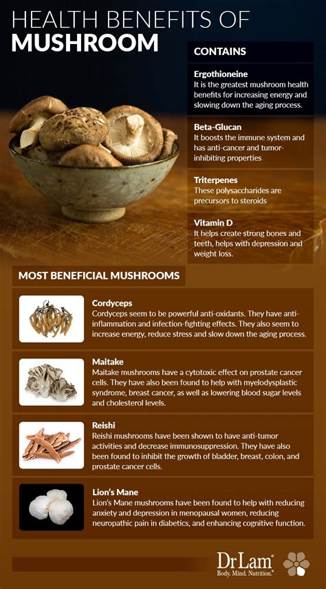 A Promising Way to Stay Healthy: Learn About Mushroom Health Benefits