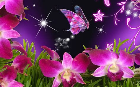 Pink Butterfly Wallpapers Desktop - Wallpaper Cave