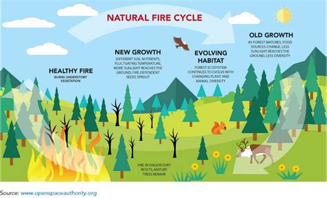 Frequently Asked Questions: Wildfire Emissions | California Air Resources Board