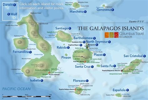 Galapagos Cruises & Tours by Columbus Travel - Since 1996 | Galapagos islands, Galapagos ...