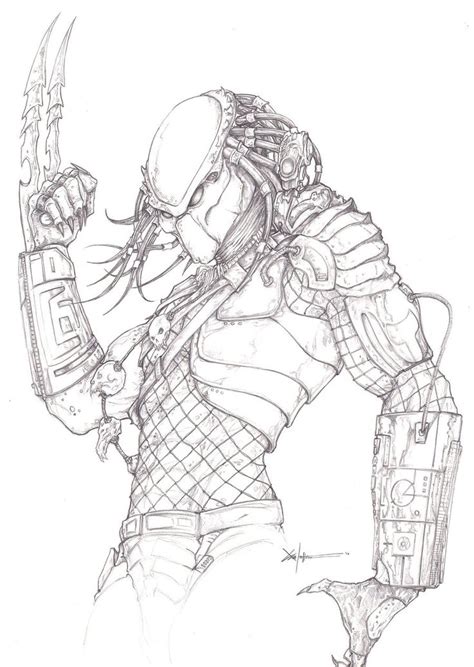 Predator Drawing at PaintingValley.com | Explore collection of Predator ...