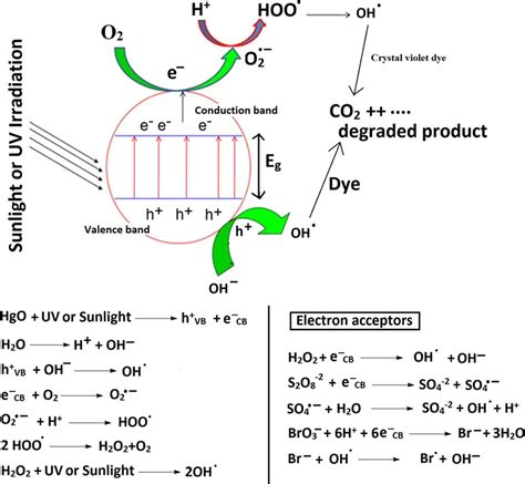 Mechanism of the photocatalytic degradation process | Download Scientific Diagram