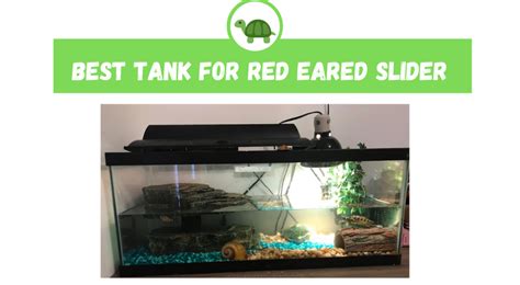 Red Ear Slider Turtle Tanks