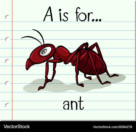 Flashcard letter a is for ant Royalty Free Vector Image