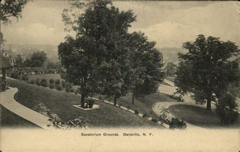 Dansville NY Sanatorium Grounds c1910 Postcard | History, Postcard, Painting