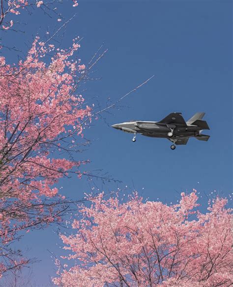 JASDF F-35 Lightning II [1242x1532] : r/WarplanePorn