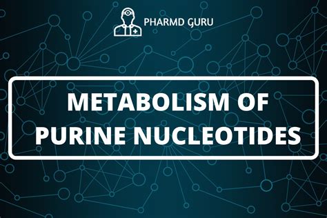 26. METABOLISM OF PURINE NUCLEOTIDES - PHARMD GURU