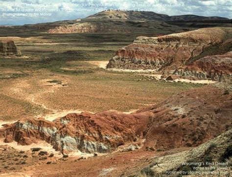 Wyoming’s Red Desert – Laguna Wilderness Press