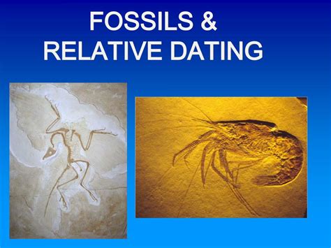 PPT - FOSSILS & RELATIVE DATING PowerPoint Presentation, free download ...