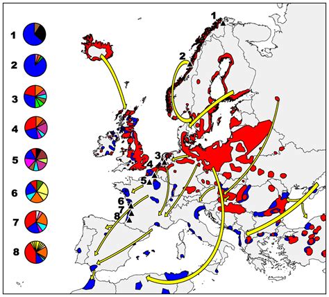 Lack of genetic structure in greylag goose (Anser anser) populations along the European Atlantic ...