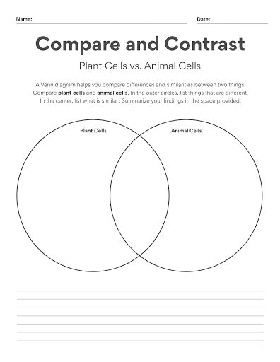 Free Compare & Contrast Template - Customize with PicMonkey