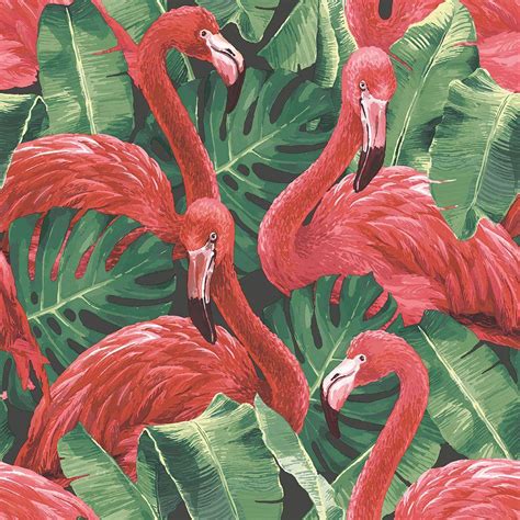 Flamingo Pink Wallpapers - Wallpaper Cave