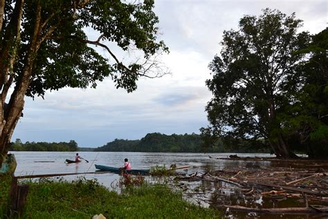 kapuas river | hari.prasgraph | Flickr