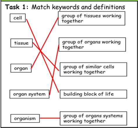 Movement assessment | Teaching Resources