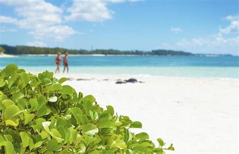 Blue Bay Marine Park, Mauritius | Tickets & Tours - 2024