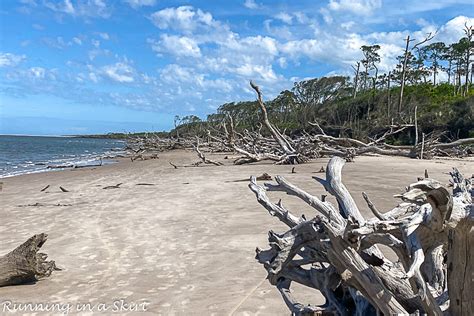 Boneyard Beach Florida - Big Talbot Island State Park « Running in a Skirt