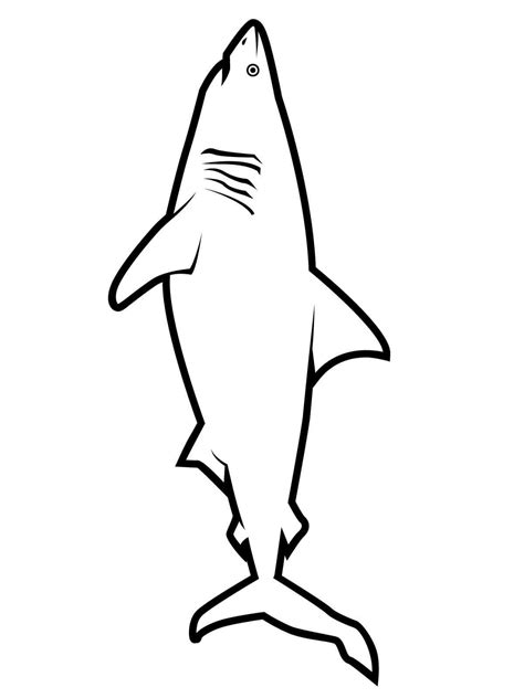 Realistic great white shark outline simple for kids Coloring Page - Free Printable Coloring Pages