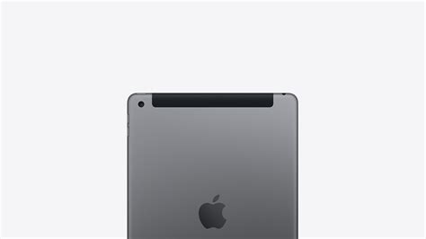 Apple Ipad (256gb) Wifi 4g Generation (2021) Spacegrau Outlet Store ...