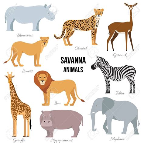 Savanna Animals Clipart Cartoon