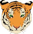 File:Tiger clipart.png - Biodiversity of India: A Wiki Resource for Indian Biodiversity