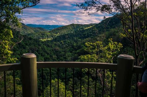 Sunshine Coast Hinterland Day Trips - The Retreat