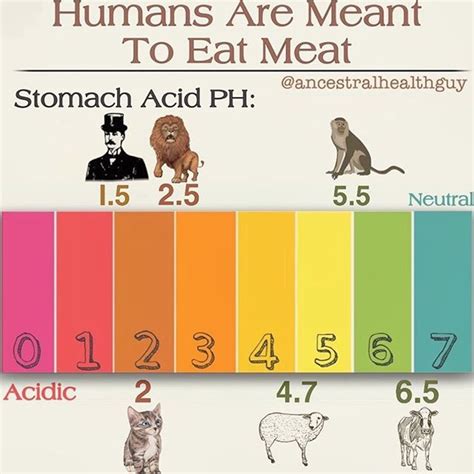 Dr Taylor Marshall™️ on Twitter: "You are a carnivore whether you “identify” as it or not."