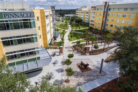 Student Bridge