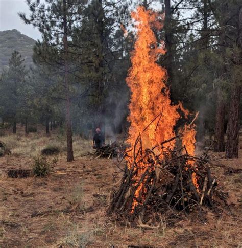 Pile Burning at Whiskeytown National Recreation Area – anewscafe.com