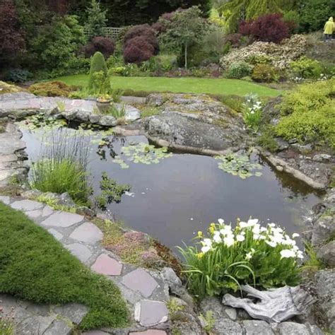 30 Wildlife Pond Design Ideas for Animals & Critters - Pond Informer