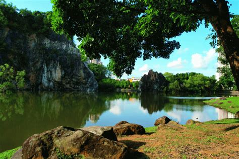 Bukit Batok Nature Park - Tranquil Beauty in Singapore | Visit Today