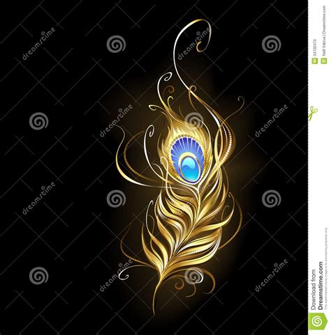 Golden peacock feather stock vector. Illustration of graphic - 34700470