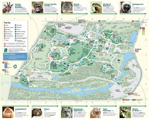 Bronx Zoo Map Printable - Printable Maps