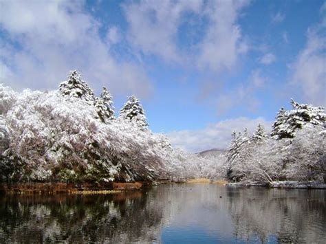 Karuizawa Winter Stock Photos, Pictures & Royalty-Free Images - iStock