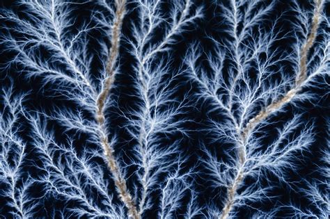 What is a Fractal? - The Ultimate Guide to Understanding Fractals