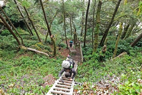 The Complete Guide to Hike the West Coast Trail Canada - Stingy Nomads