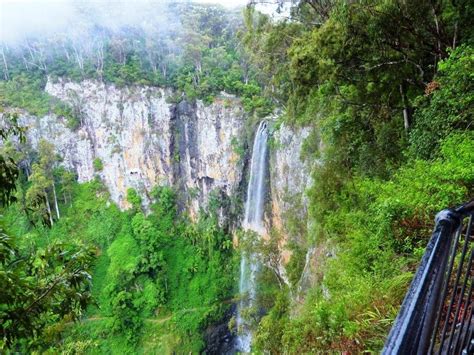 Springbrook Waterfalls With Kids – Which To Brave With Little Adventurers | Families Magazine