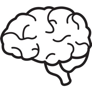 Brain Icon, Transparent Brain.PNG Images & Vector - FreeIconsPNG