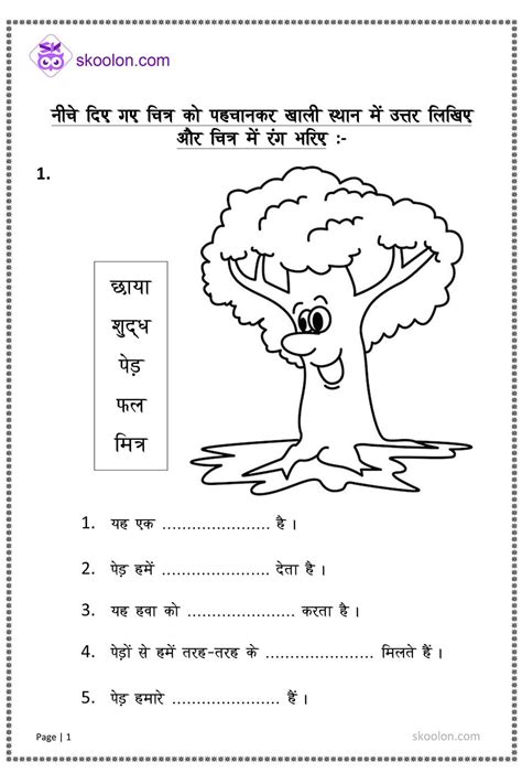 Picture Explanation - skoolon.com