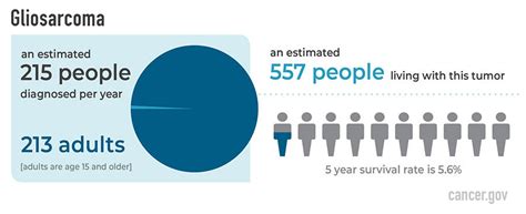 Gliosarcoma Diagnosis and Treatment - NCI