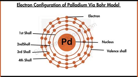 Thermoregulation Diagram-Explained with Labells