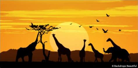 African Animal Sunset Backdrop 2 | Backdrops Beautiful