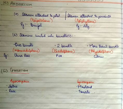 MORPHOLOGY OF FLOWERING PLANTS (Part 3) NCERT Examples for NEET 2024