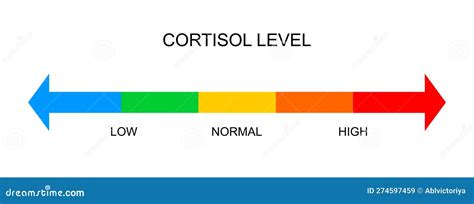 Cortisol Meter Horizontal Scale. Body Stress Response Levels Chart from ...