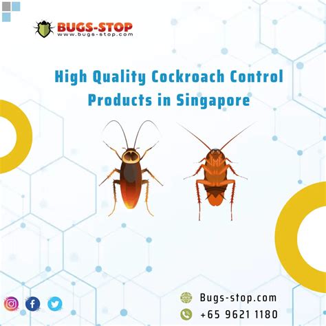 Benefits of Using Cockroach Control Products for Household in 2023 - TheOmniBuzz