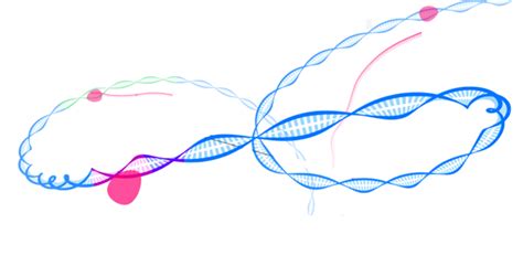 Exome Sequencing | Whole Exome Sequencing Cost | SNP Genotyping | Next Generation Sequencing and ...